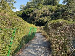 -大屏嶂森林公园