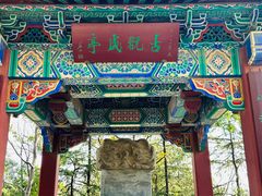 -阅江楼风景区