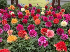 -陶然亭公园