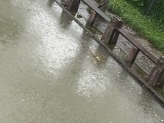 -西湖文化广场