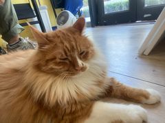 -吉派索自家烘焙咖啡馆(千佛山店)