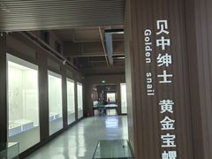 -贝壳王国博物馆
