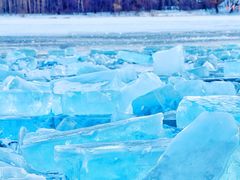 -长春市南湖公园