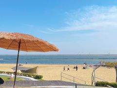 -碧海金沙