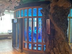 -御池园(顾村公园店)