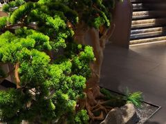 -百富源·海鲜辽菜(和平北大街店)