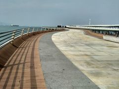 -演武大桥观景平台