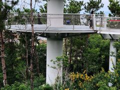 -仙岳公园