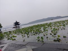 -西湖游船