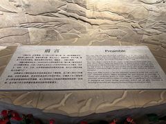 -白鹤梁水下博物馆