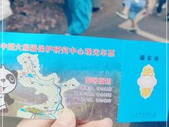 -都江堰中华大熊猫苑