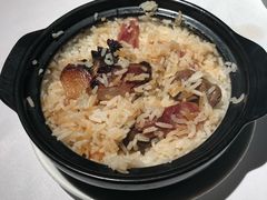 -新同乐鱼翅酒家(美丽华店)
