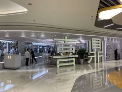 -喜鼎海胆水饺(平安金融中心店)