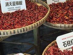 -巴蜀大将火锅(春熙店)