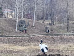 -哈尔滨北方森林动物园