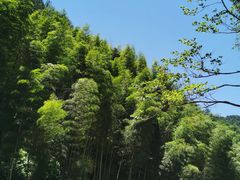 -花溪风景区