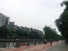 -成都市活水公园