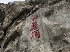 门面-仙蘑洞