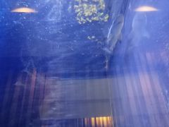门面-东京和食 Sun with AQUA