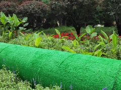 景点-沈阳中山公园