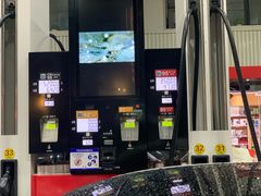 -中国石油加油站(严桥路站)