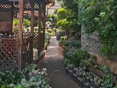 -山菌美食苑(振兴路店)