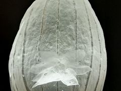 -上海琉璃艺术博物馆