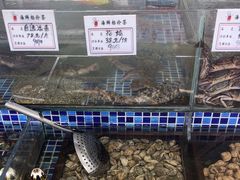 -天盛海鲜烧烤大排档·本地小海鲜·牟平腿穗子(幸福店)