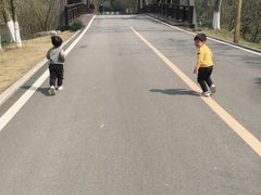 -洪湖悦兮半岛国际温泉度假村