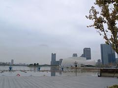 -金沙湖公园