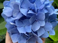 -常州古运河南大街文化旅游区-人民公园