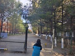 -大鹅岛绿色生态美食园