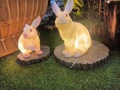 -东方之珠洗浴休闲广场(南开店)