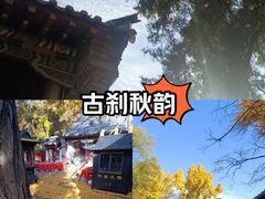 -泰山风景名胜区-普照寺