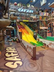 -卡通尼·Safari非洲探索乐园·生日会(金桥国际商业广场店)