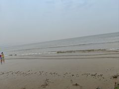 -日照海滨国家森林公园