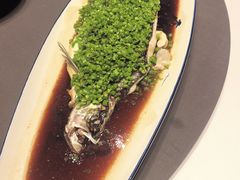 青辣汁水库翘壳鱼-许家菜(望江店)