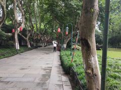 -杭州黄龙洞