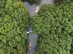 -动邦皮划艇·桨板·独木舟·团建户外运动俱乐部