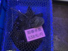-八仔大富楼·河鲜(西江店)