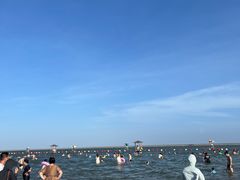-碧海金沙