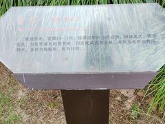-中山公园