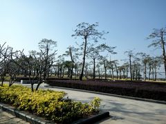 -芒洲湿地公园