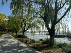 -苏州金鸡湖大酒店