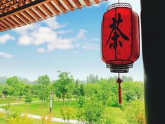 -南湖国家城市湿地公园