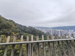 -福道