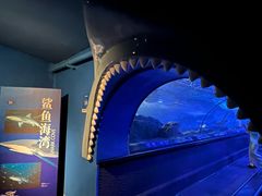-上海海洋水族馆