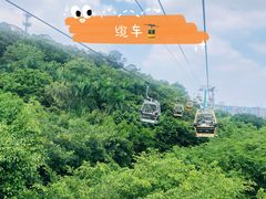 -广州长隆国际大马戏
