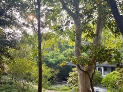-上海醉白池公园