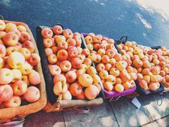 -东海金街农贸商城